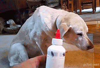 tumblr_nrfpvlUzCy1s2yegdo1_400.gif