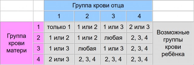 15771667.jpg