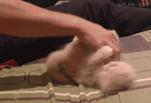 tumblr_n7z54bq4ZW1s2yegdo1_400.gif