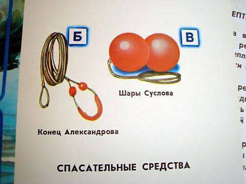 15597249.jpg
