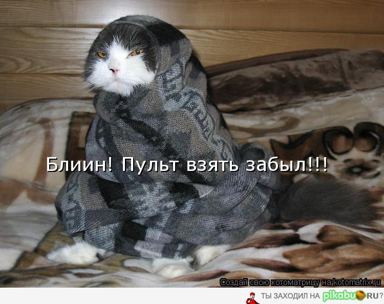 mzf.jpg