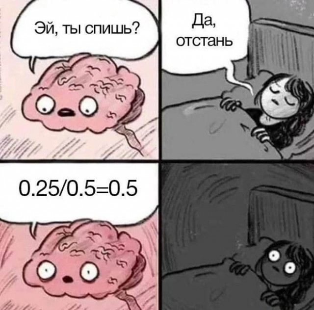 17648969.jpg