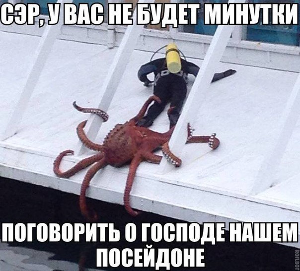 166934538ea6cdb489e.jpg