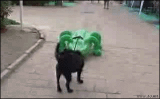 LFqFN.gif