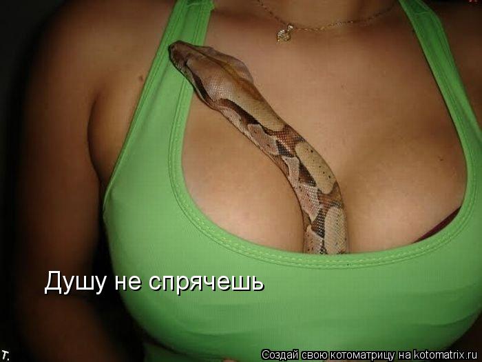 kotomatritsa_oF.jpg