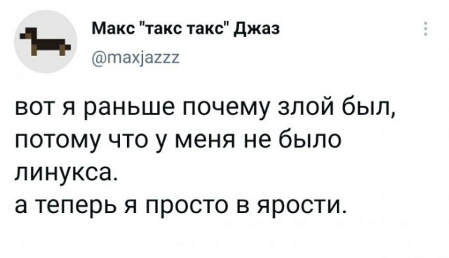 15524341.jpg