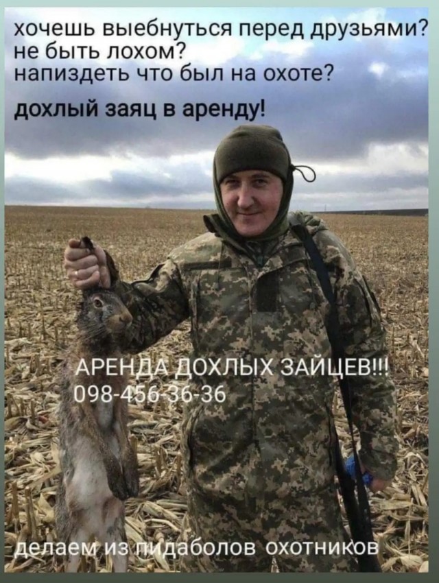 16184888.jpg