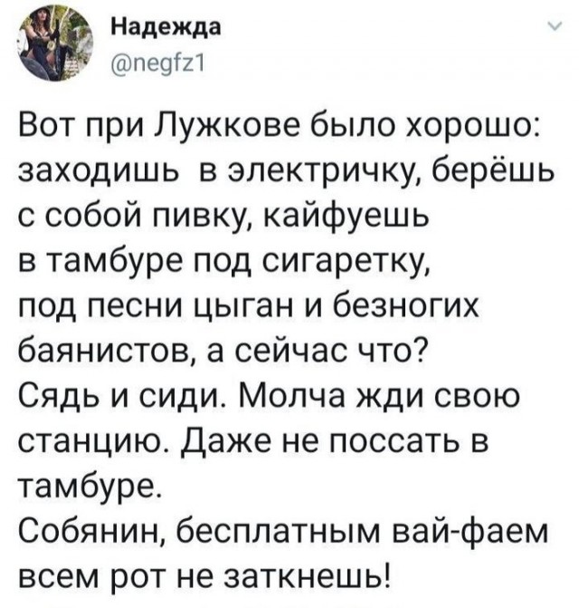 17567569.jpg