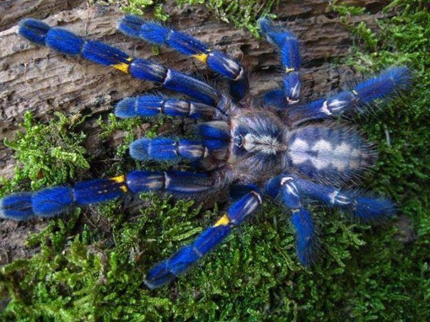 c9tkBN5gPx8.jpg