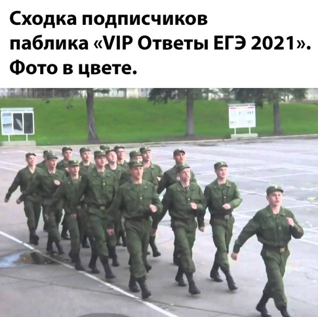 15700440.jpg