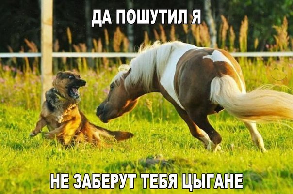 PFZLP6u0H6A.jpg