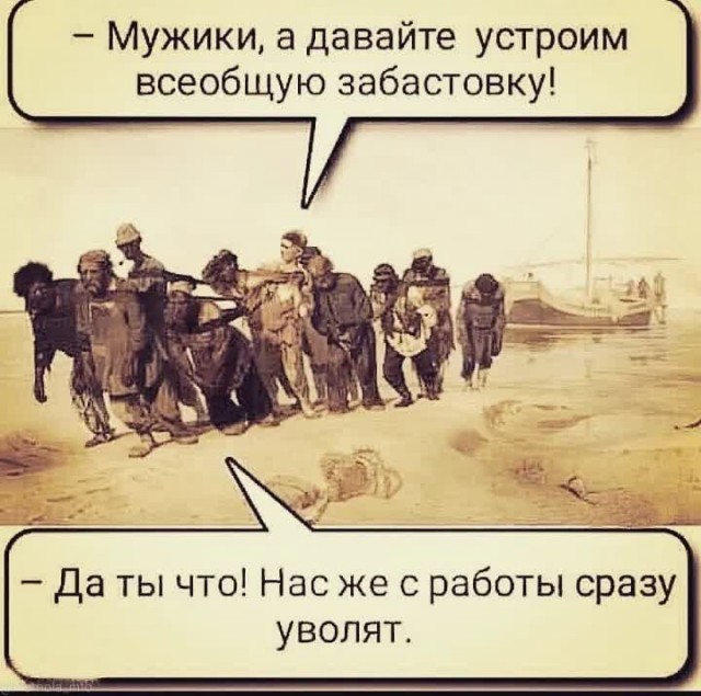 16064753.jpg