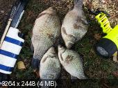 _c1903fca83d5d6354861e1983724bad0.jpeg
