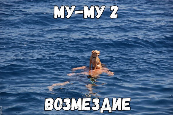 rzbNVHoC_5k.jpg