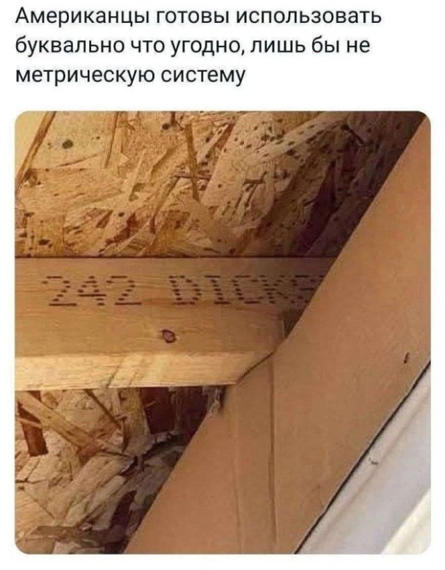 20634548.jpg