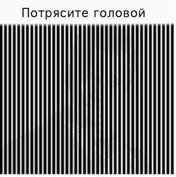 oSbZPbOHlfI.jpg