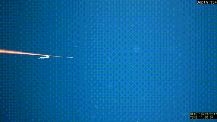 726154.jpg