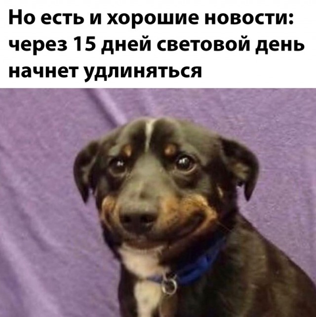 16222914.jpg