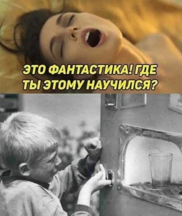 16362434.jpg