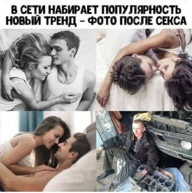 16364279.jpg