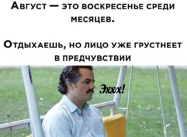 15854848.jpg
