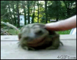 da5d87c2a92789df3b9d0c3d5f3629ee.gif