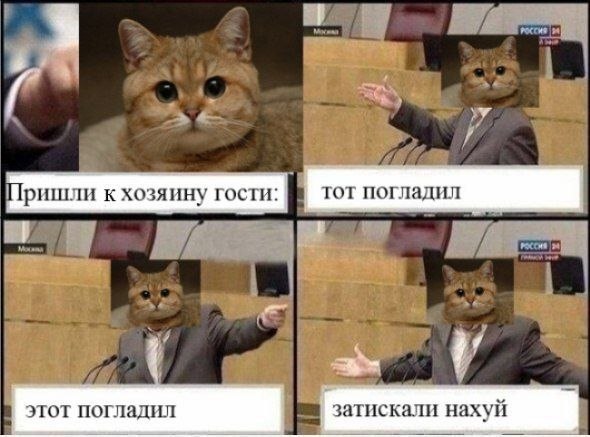 lfsK1UlhSvo.jpg