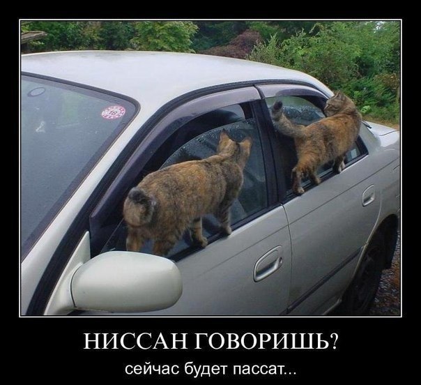 tPoDIjgreQA.jpg