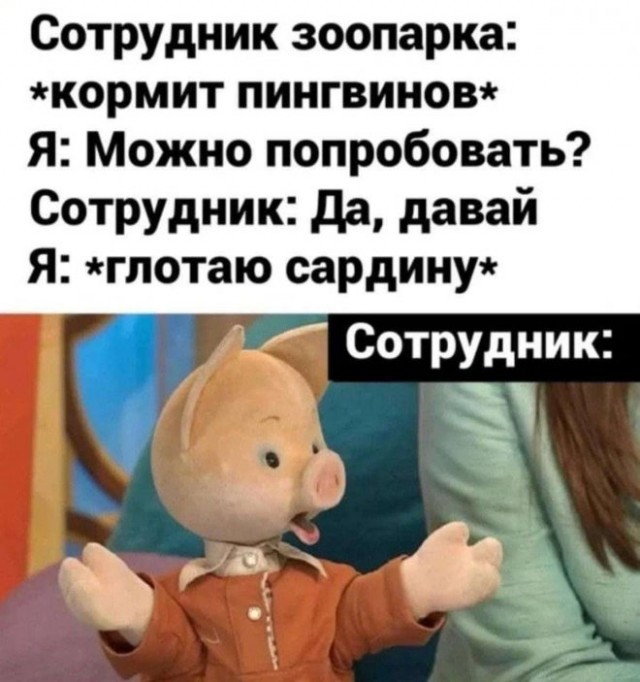 16450322.jpg