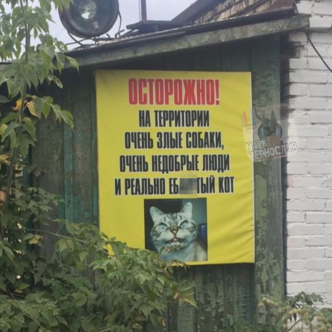 vmaJ9NU_kS4.jpg