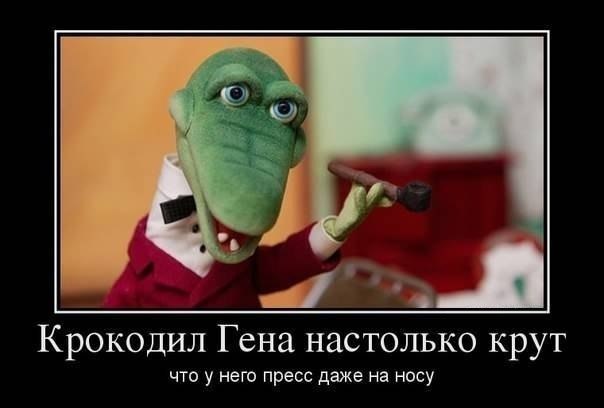 TDca05uyjkg.jpg