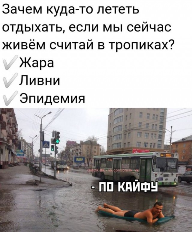 15756206.jpg
