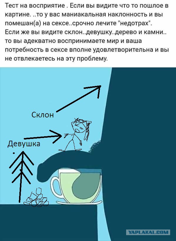 12092281.jpg