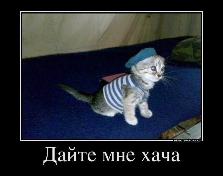 539cb9c9f6d86be365392783b7427f9e.jpg