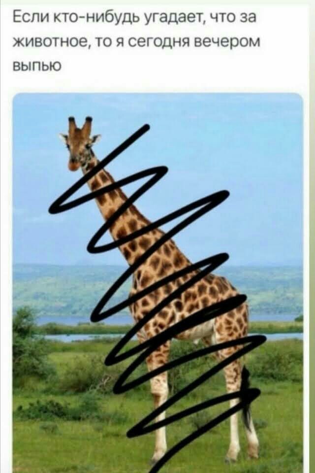 15599247.jpg