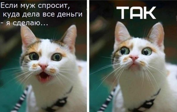 sICdjFTDOs8.jpg