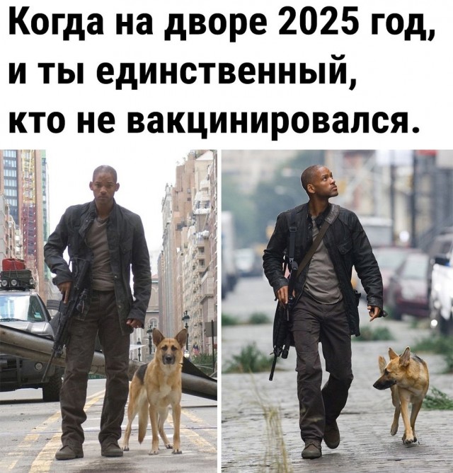 15766653.jpg