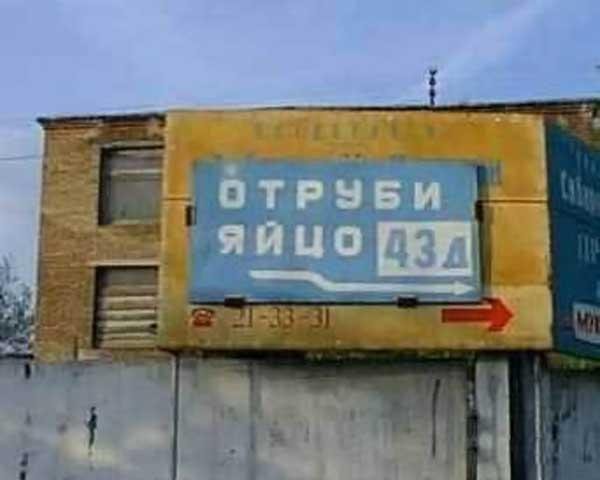 3894936_495847d7.jpg