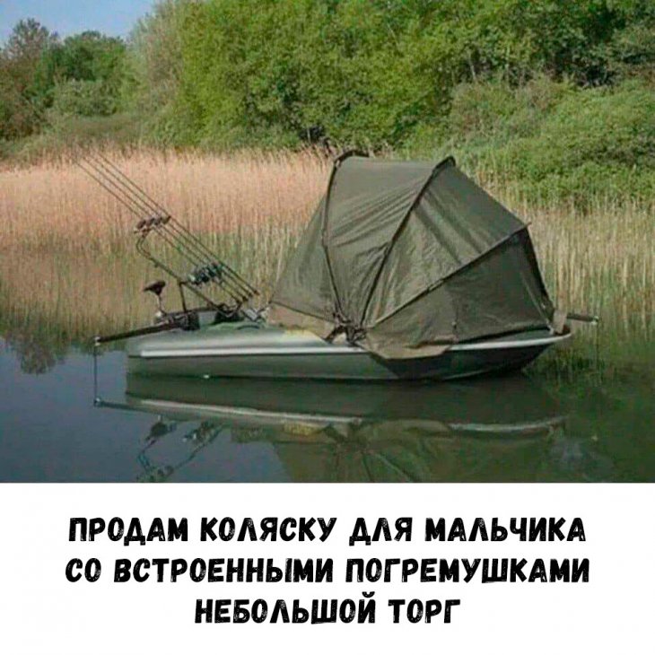 13088882.jpg