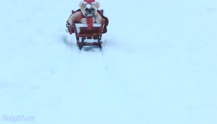 tumblr_ngofc4ucz31u2jwbho1_500.gif