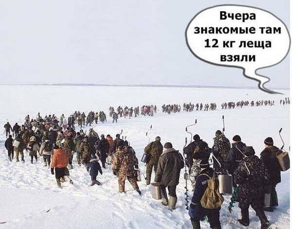 16248439.jpg