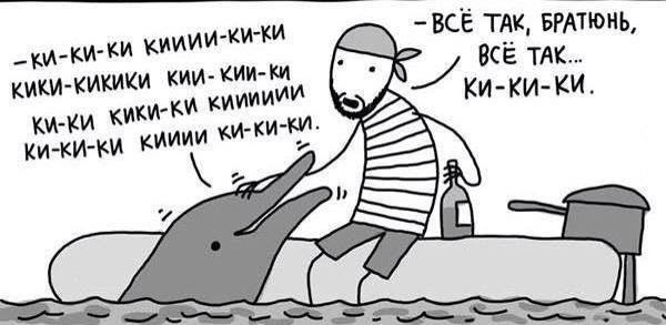 bnV-9GpCCYc.jpg