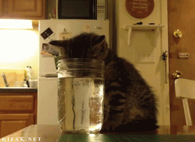 2.gif