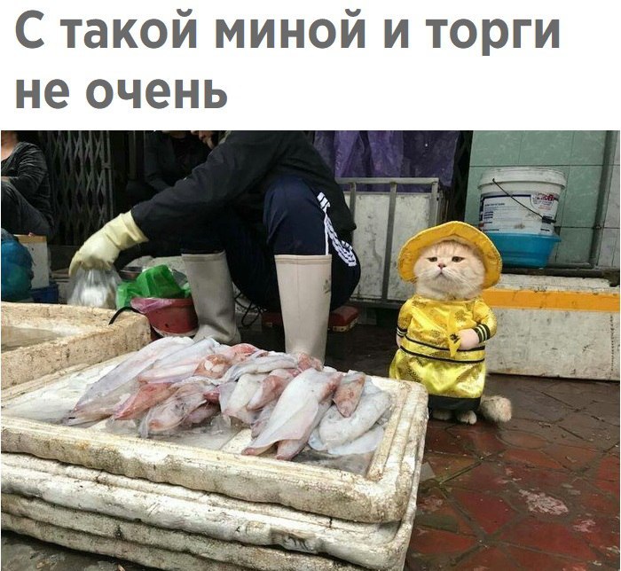 IakzETGk-DY.jpg