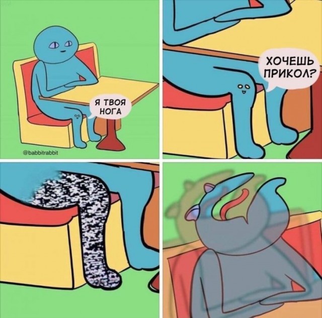 13523266.jpg