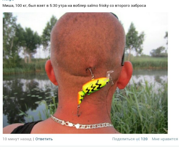 post-30834-1434631952.jpg