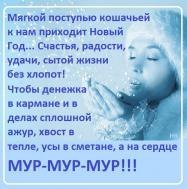 WyHPbFX1hSg.jpg