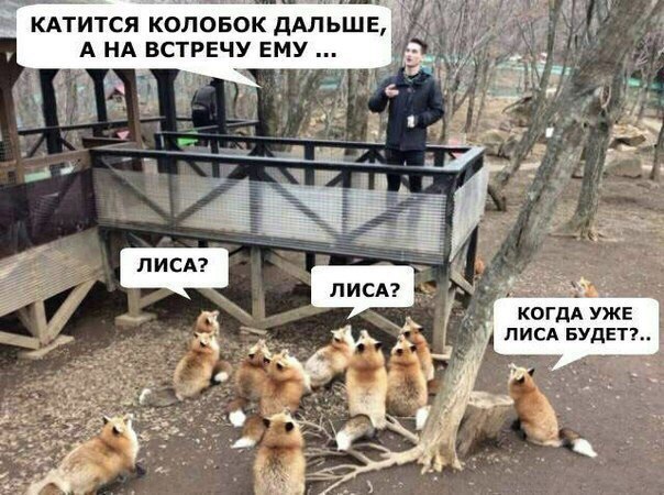 BaAMKeVTaT8.jpg
