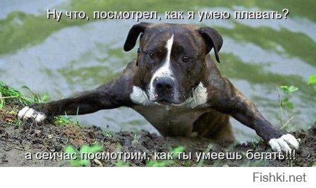 dea066c104c2b6607c476ac3bd7a6773.jpg