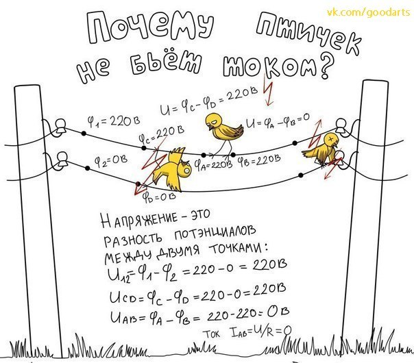 neia9O0pCrM.jpg